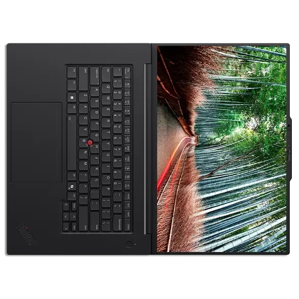 Lenovo ThinkPad P1 Gen 8 (16 Lenovo ThinkPad P1 Gen 8 (16